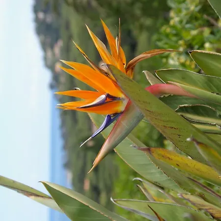 Happiness Villa Sainte-Maxime