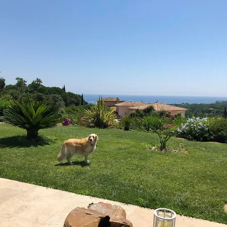 Happiness Villa